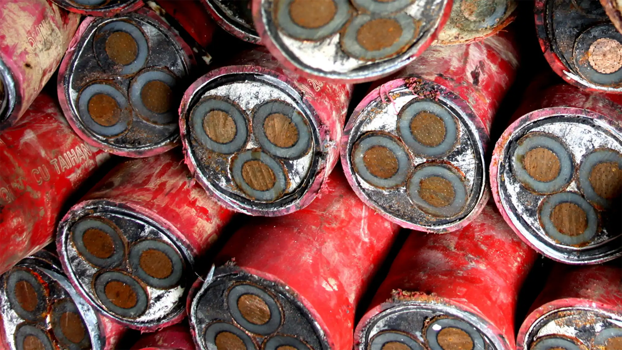 Tin Can Bundle
